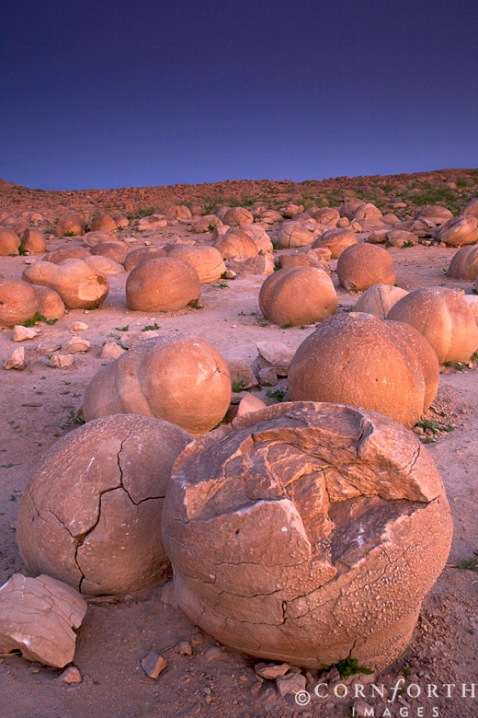 Скопище шарообразных камней в пустыне Анза Боррего. Фото