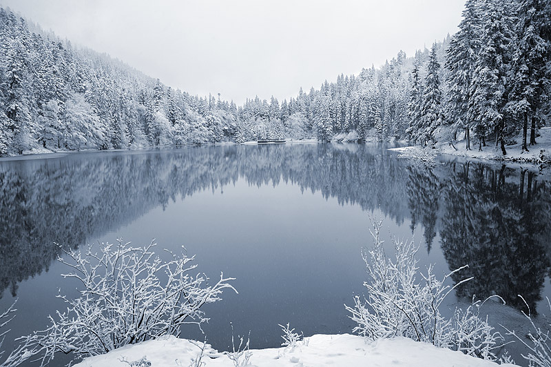 Синевирское озеро зимой. Карпаты. Фото