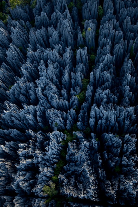 Каменный лес на Мадагаскаре. Фото