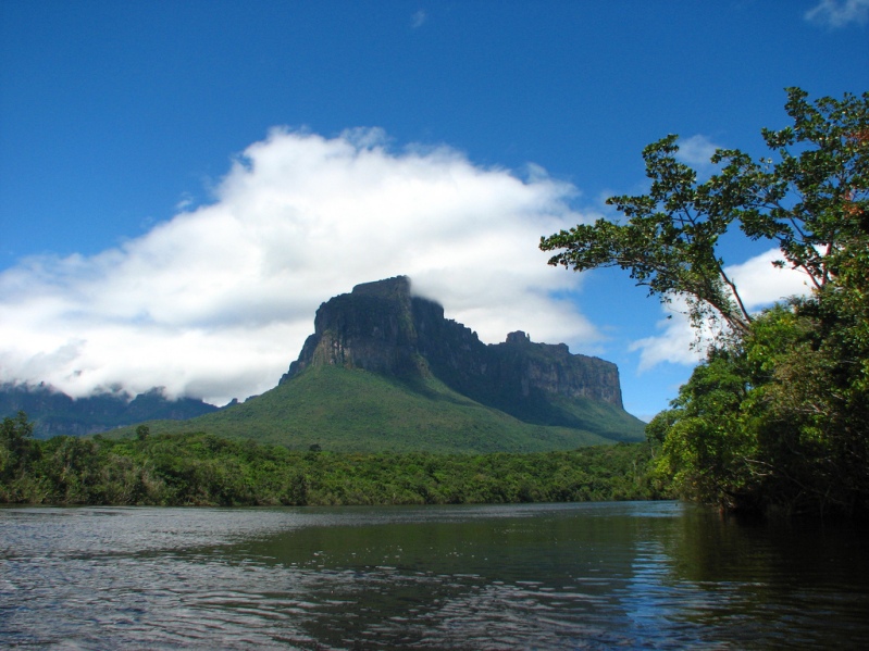 Гора Ауянтепуи. Национальный парк Венесуэлы. Фото