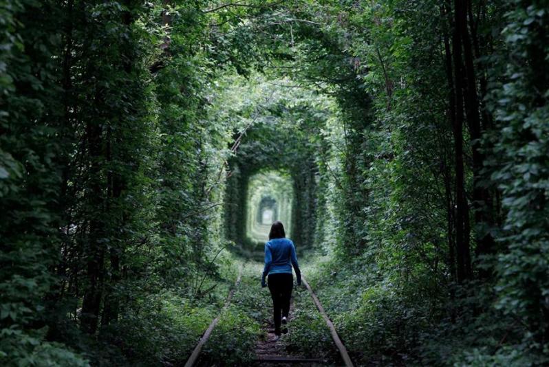 Тоннель любви в городе Клевань, Украина. Летнее фото