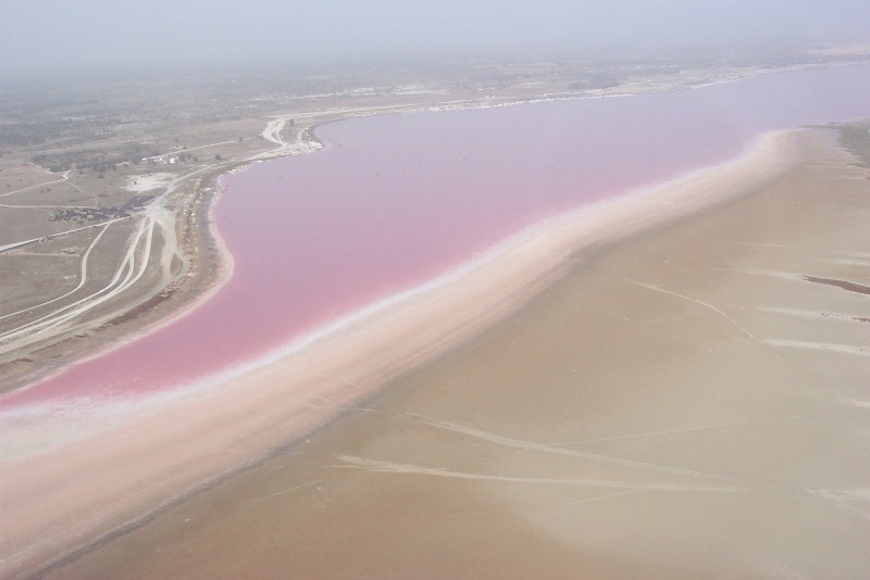 Розовое озеро Ретба в Сенегале. Вид сверху. Фото