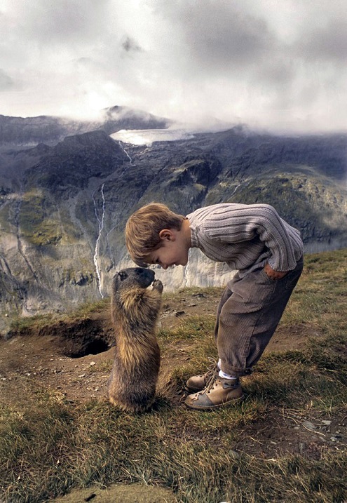 Удивительная дружба мальчика с альпийскими сурками. Фото