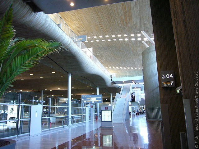 aeroport-imeni-sharlya-de-gollya-09