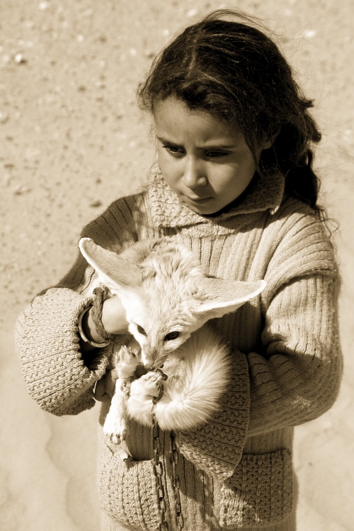 арабская девочка с фенеком на руках. Фото / fennec fox photo 