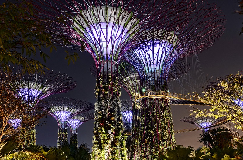 Футуристические сады у залива, Сингапур. Фото
