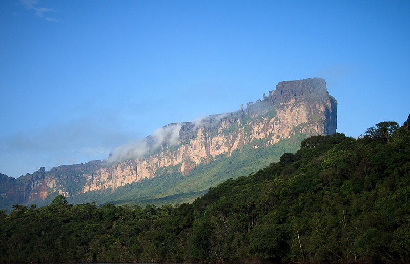 Вид столовой горы Ауянтепуи. Фото