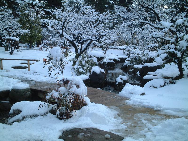 Японский парк Кераку-эн зимой. Фото