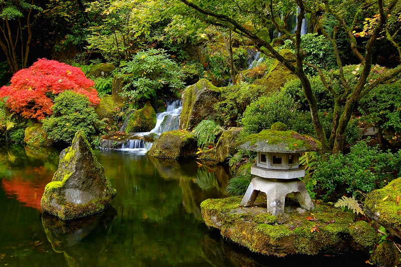 Красивые фото японского сада в Портленде, Орегон