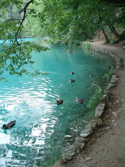Национальный парк Плитвицкие озера (Хорватия). Фото / Plitvice Lakes National Park. Photo