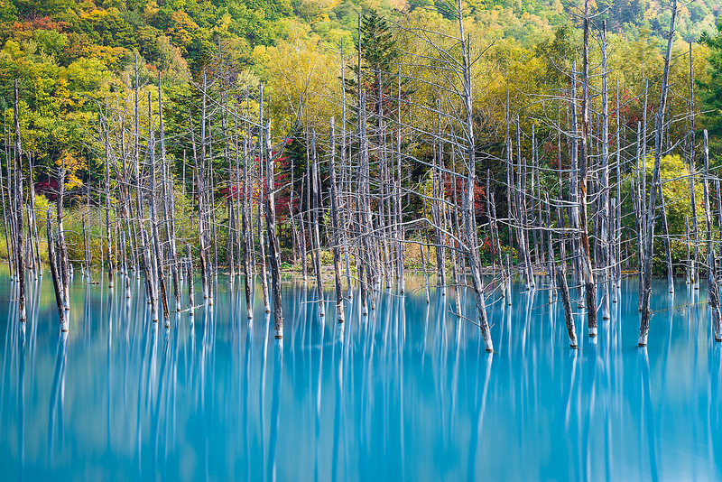 Голубой пруд Биэй в Японии осенью. Красивое фото