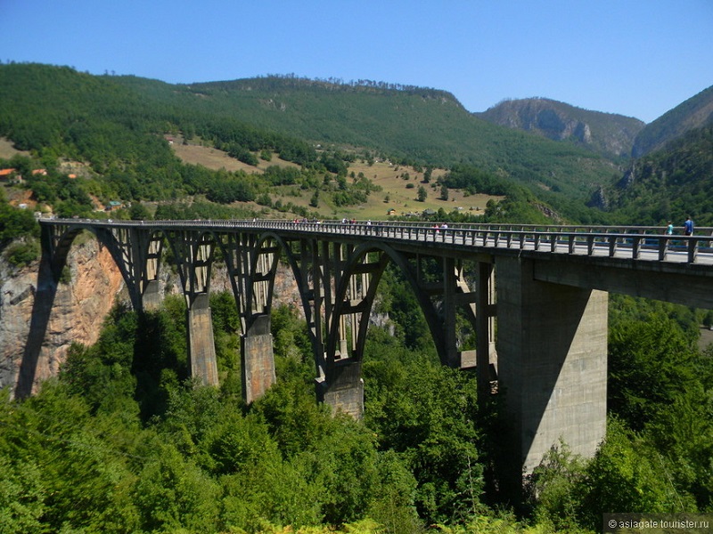 Мост Джурджевича в парке Дурмитор над рекой Тара. Черногория. Фото