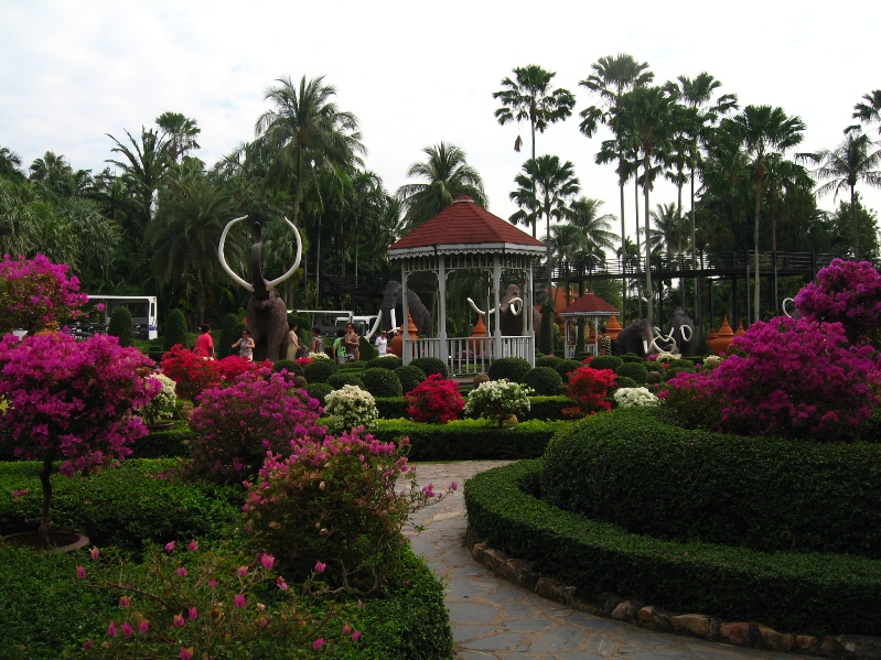 Сад орхидей в Парке Нонг Нуч в Таиланде. Фото