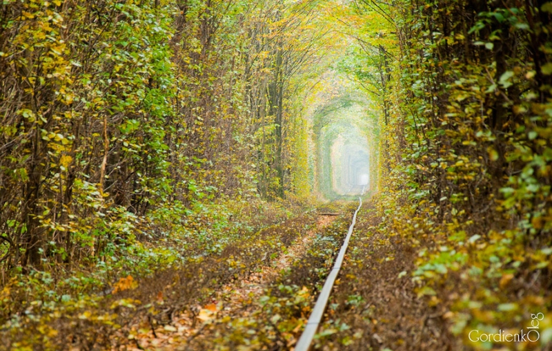 Тоннель любви осенью в городе Клевань, Украина. Фото