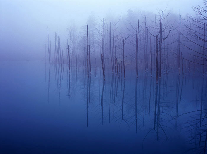 Голубой пруд Биэй в Японии в тумане. Красивое фото