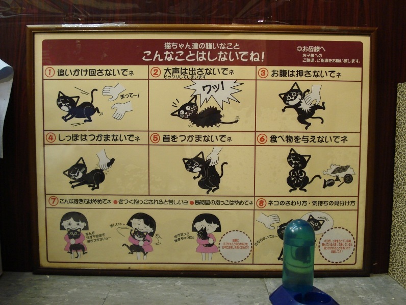 Инструкция в Некобукуро об обращении с котами. Фото