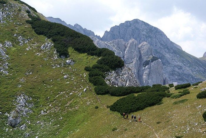 Национальный парк Дурмитор в Черногории. Фото