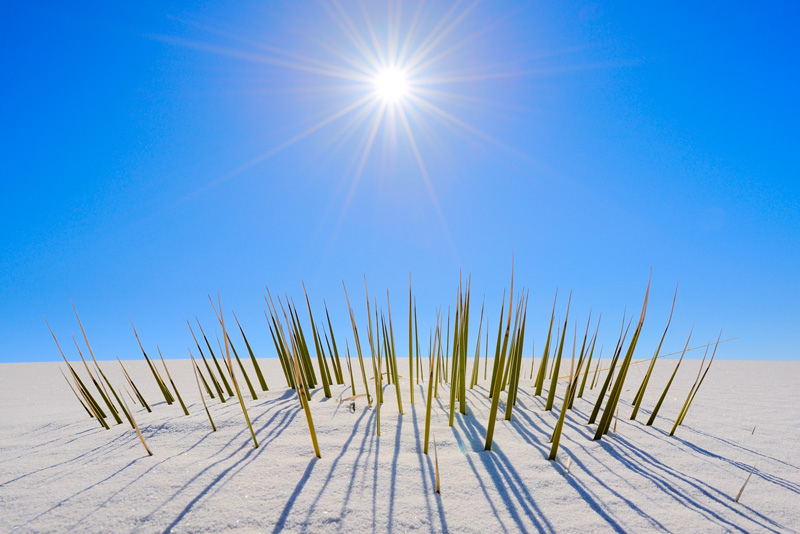 Пустыня Белых Песков в Нью-Мексико. Фото