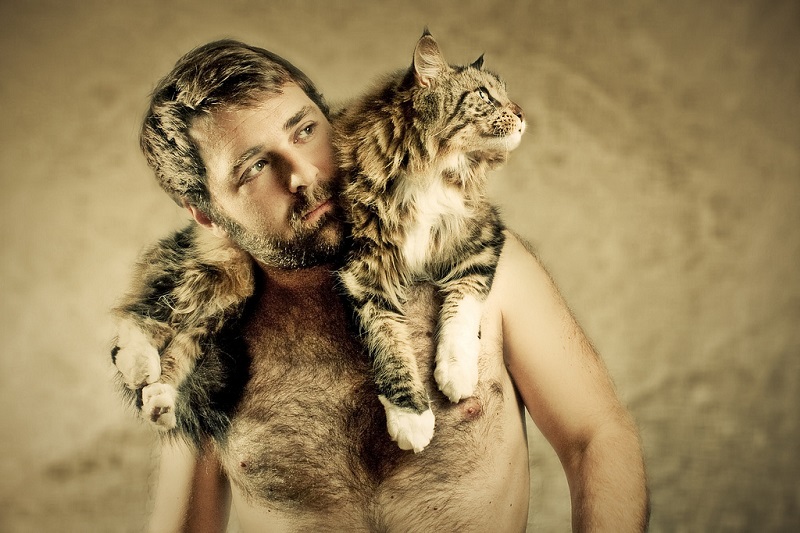 Кошка мэйнкун на плечах хозяина. Фото