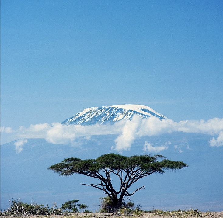 Гора Килиманджаро. Вулкан Кибо. Африка. Фото
