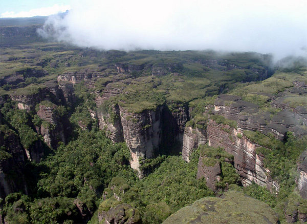 Лагуна в парке Канайма:  Национальный парк Канайма в Венесуэле. Вид сверху. Фото