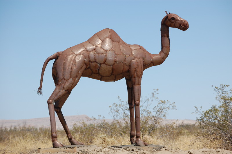 Металлическая скульптура верблюда в пустыне Анза Боррего. Фото