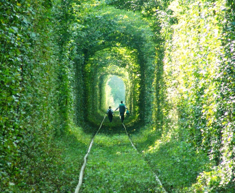 Тоннель любви в городе Клевань, Украина. Фото