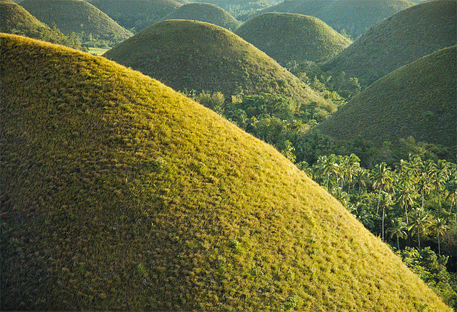 Шоколадные холмы на Бохоле, Филиппины. Фото