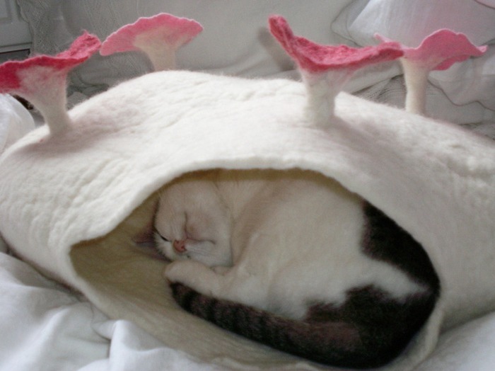 Гнезда для кошек из войлока. Сюзанна Карг. Фото