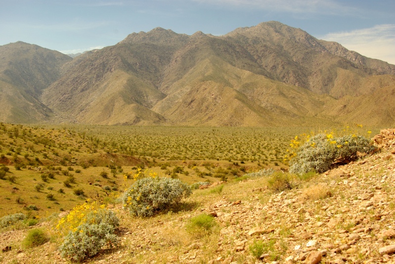 Горный пейзаж пустыни Анза Боррего. Фото
