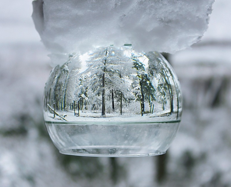 Отражение в емкости с водой. Фото зимы