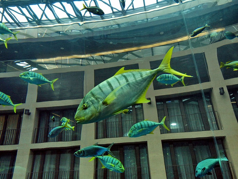 Отель Radisson Blu в Берлине. Огромный аквариум. Фото