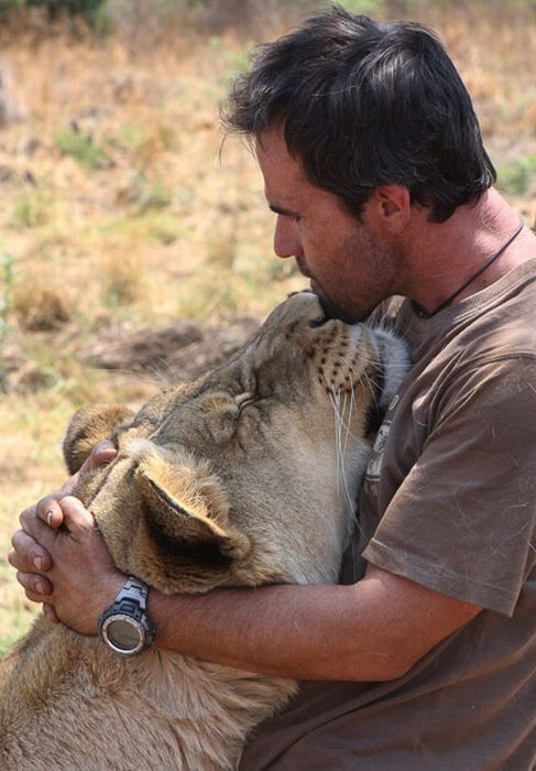 Кевин Ричардсон обнимает львицу. Фото