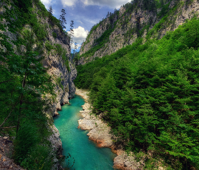 Река Тара в парке Дурмитор. Каньон. Черногория. Фото