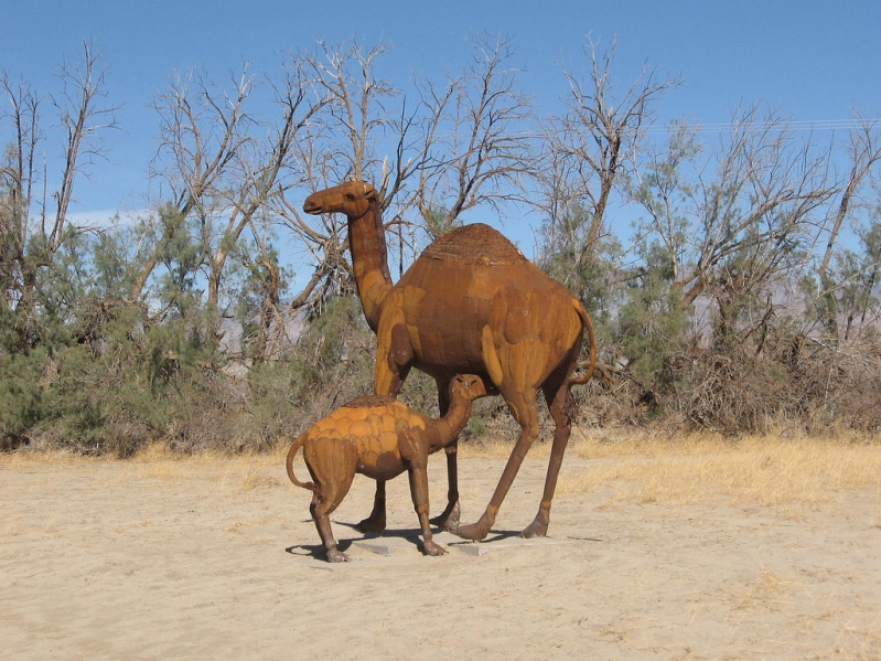 Металлическая верблюдица кормит верблюжонка. Пустыня Анза Боррего. Фото