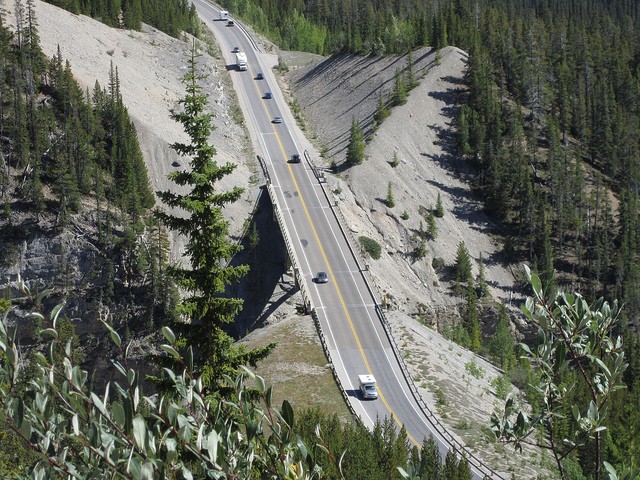 icefields-parkway-14
