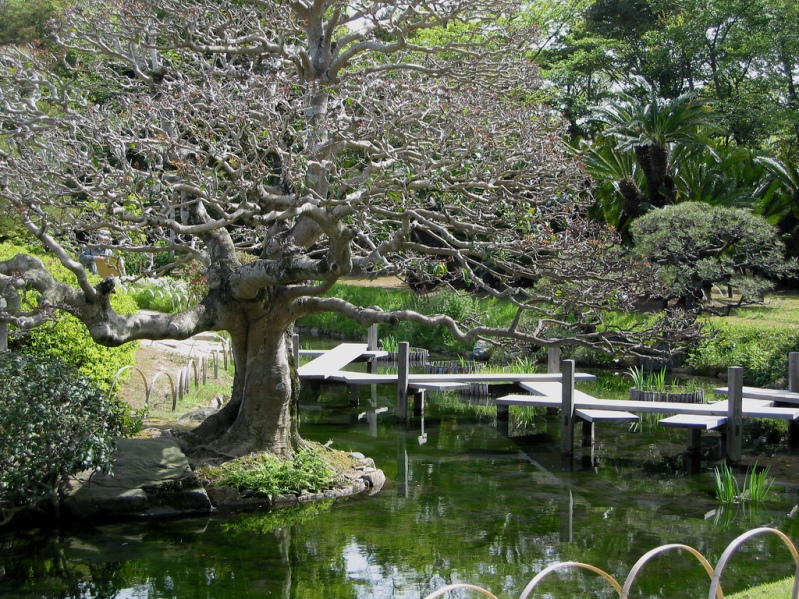 Японский парк Кераку-эн весной. Фото