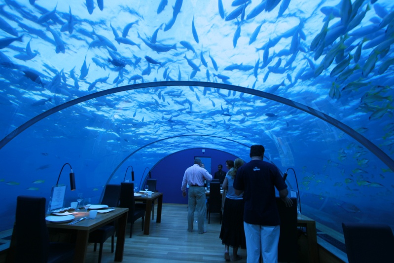Подводный ресторан на Мальдивах. Фото