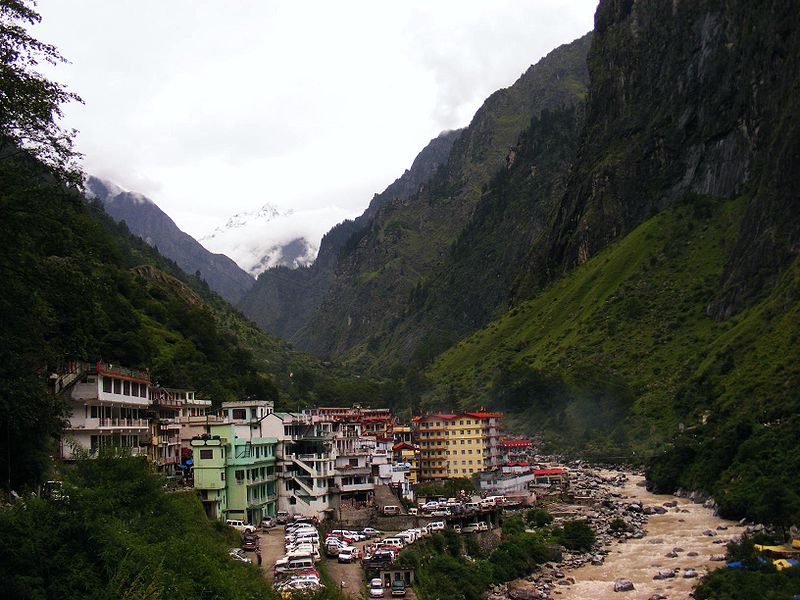 Долина Цветов в Гималаях. Говиндгхат