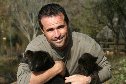 Кевин держит на руках детенышей черной пантеры. Фото