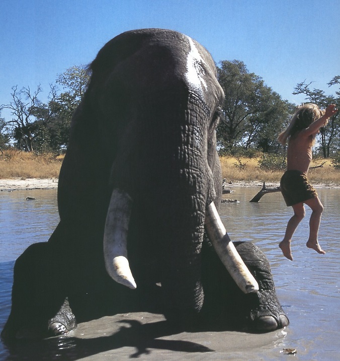Типпи Дегре и слон. Девочка-Маугли в Африке. Фото