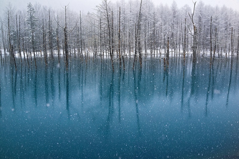 Голубой пруд Биэй в Японии зимой. Красивое фото