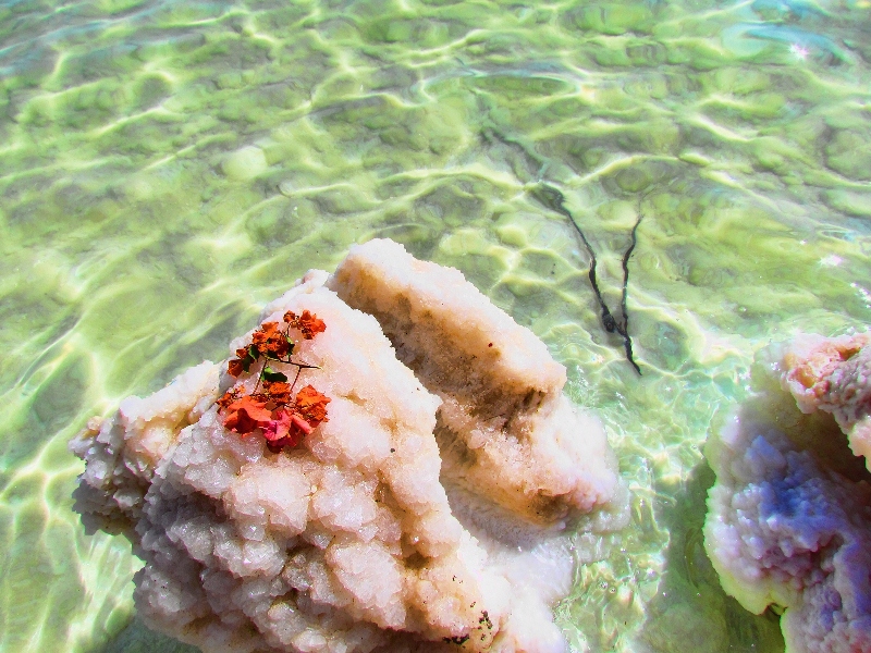 Соляная фигура Мертвого моря. Фото