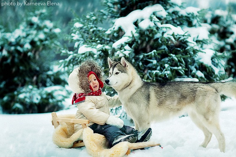 Красивые дети и животные. Зимний лес. Фото 