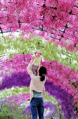Тоннель глициний в японском саду цветов Кавати Фудзи. Фото
