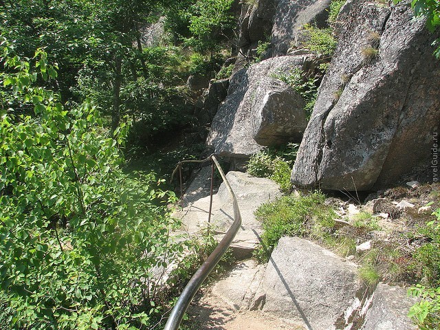 precipice-trail-acadia-03