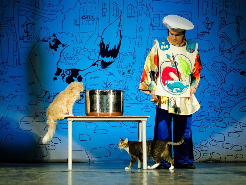 Театр кошек Юрия Куклачева. Фото