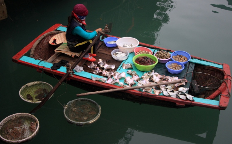 Лодка рыбака в бухте Халонг. Вьетнам. Фото