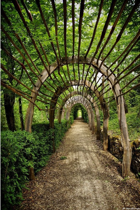 Висячие сады замка Маркизъяк в Везаке (департамент Дордонь). Фото