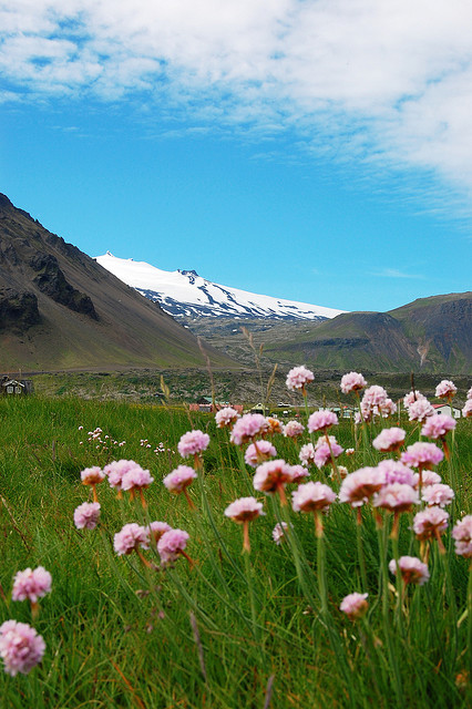 Пейзажи Исландии. Фото